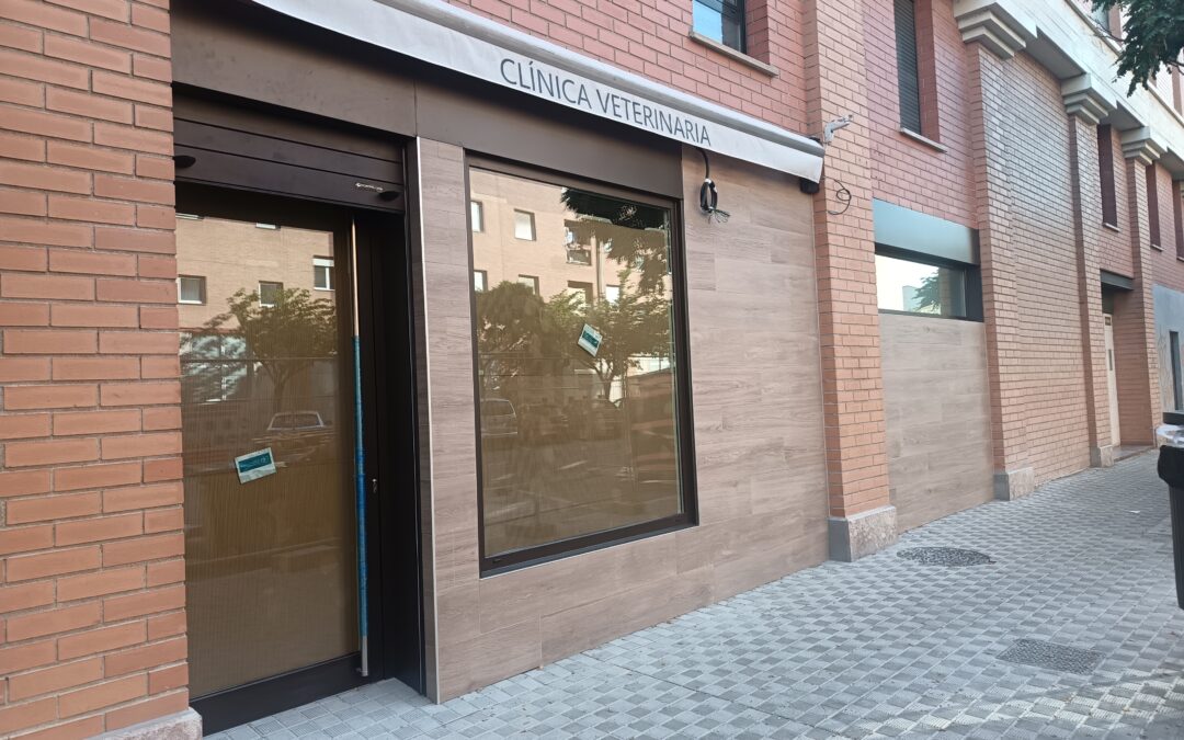 Acondicionamiento de local para Centro Veterinario